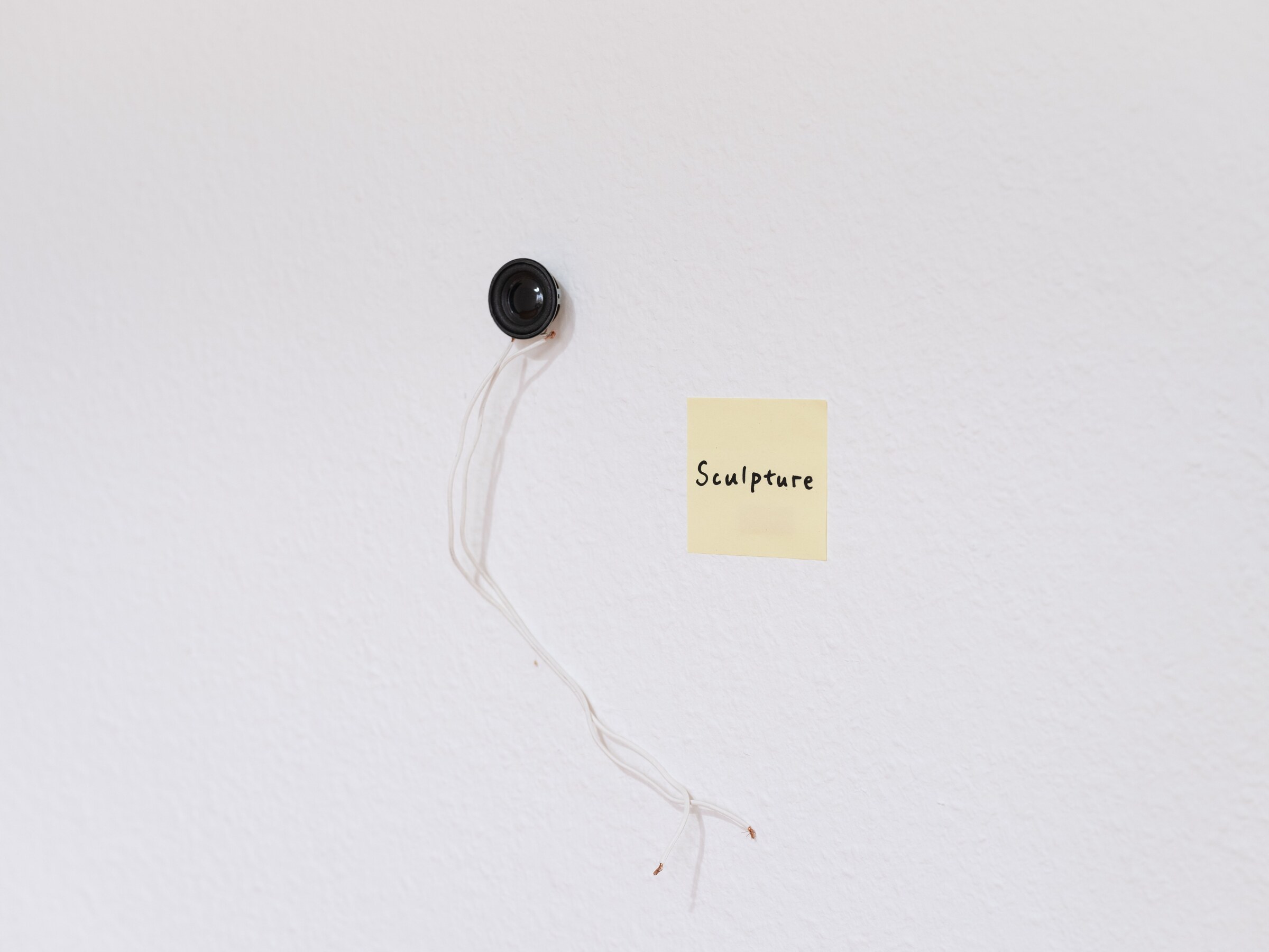 Speaker